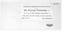 Puccinia frankeniae image